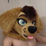 goldeyboi